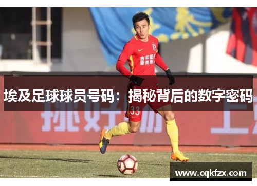 埃及足球球员号码：揭秘背后的数字密码