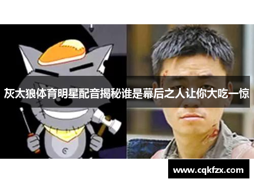 灰太狼体育明星配音揭秘谁是幕后之人让你大吃一惊