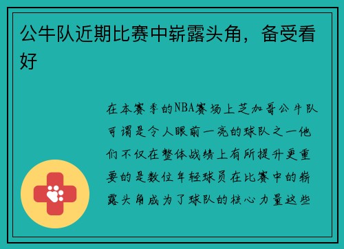 公牛队近期比赛中崭露头角，备受看好